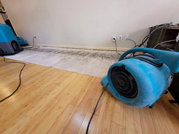 Professional Water Removal technician working in Destin, FL